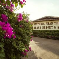 Informații generale preview