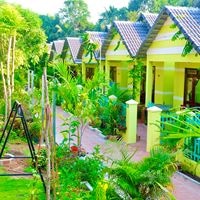 Informații generale preview