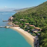 Informații generale preview