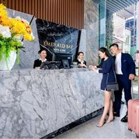 Informații generale preview