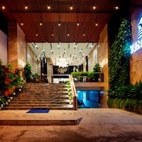 Informații generale preview