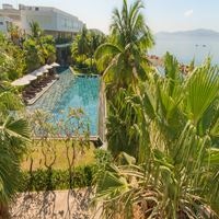 Informații generale preview