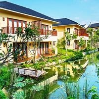 Informații generale preview