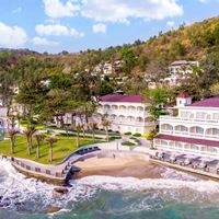 Informații generale preview