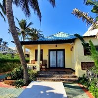 Informații generale preview