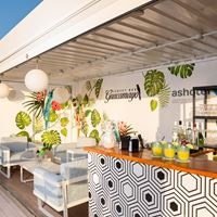 Informații generale preview