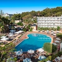 Informații generale preview