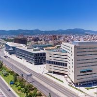 Informații generale preview