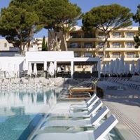 Informații generale preview