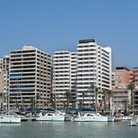 Informații generale preview