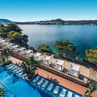 Informații generale preview