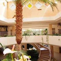 Informații generale preview