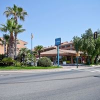 Informații generale preview