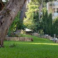 Informații generale preview