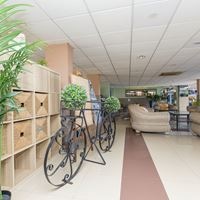 Informații generale preview