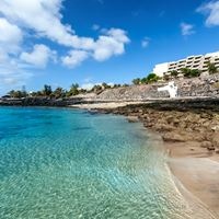 Informații generale preview