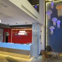 Informații generale preview