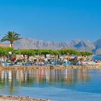 Informații generale preview