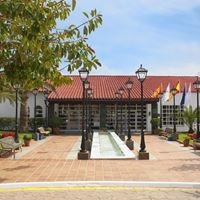 Informații generale preview