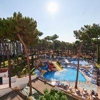 Informații generale preview