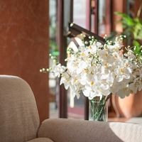 Informații generale preview