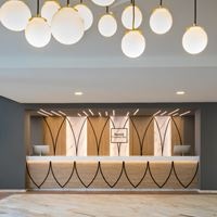 Informații generale preview