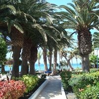 Informații generale preview