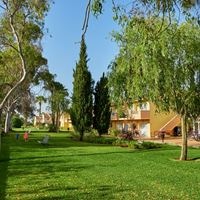 Informații generale preview