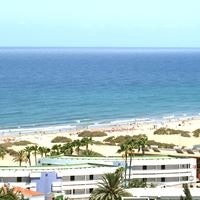 Informații generale preview