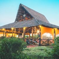 Informații generale preview