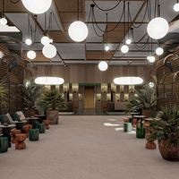 Informații generale preview