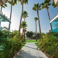 Informații generale preview