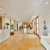 Informații generale preview