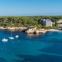 Informații generale preview