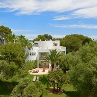 Informații generale preview