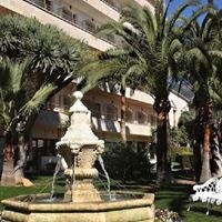 Informații generale preview