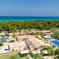 Informații generale preview