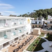 Informații generale preview