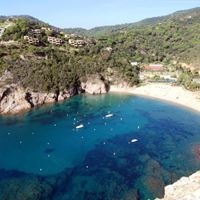 Informații generale preview