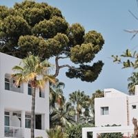 Informații generale preview