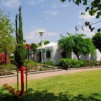 Informații generale preview