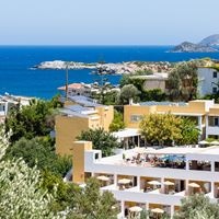 Informații generale preview