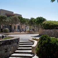 Informații generale preview