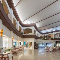 Informații generale preview