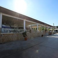 Informații generale preview