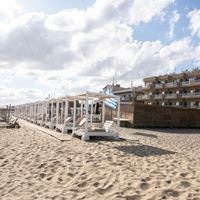 Informații generale preview