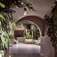 Informații generale preview