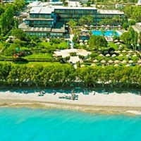 Informații generale preview