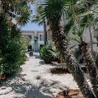 Informații generale preview