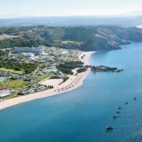 Informații generale preview